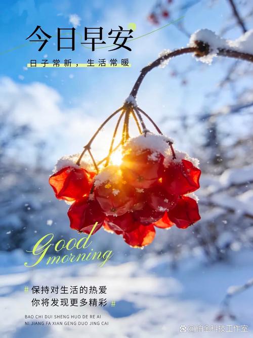 2025年12月24日农历冬月初五这天适合出行吗？今日出行是否吉利？
