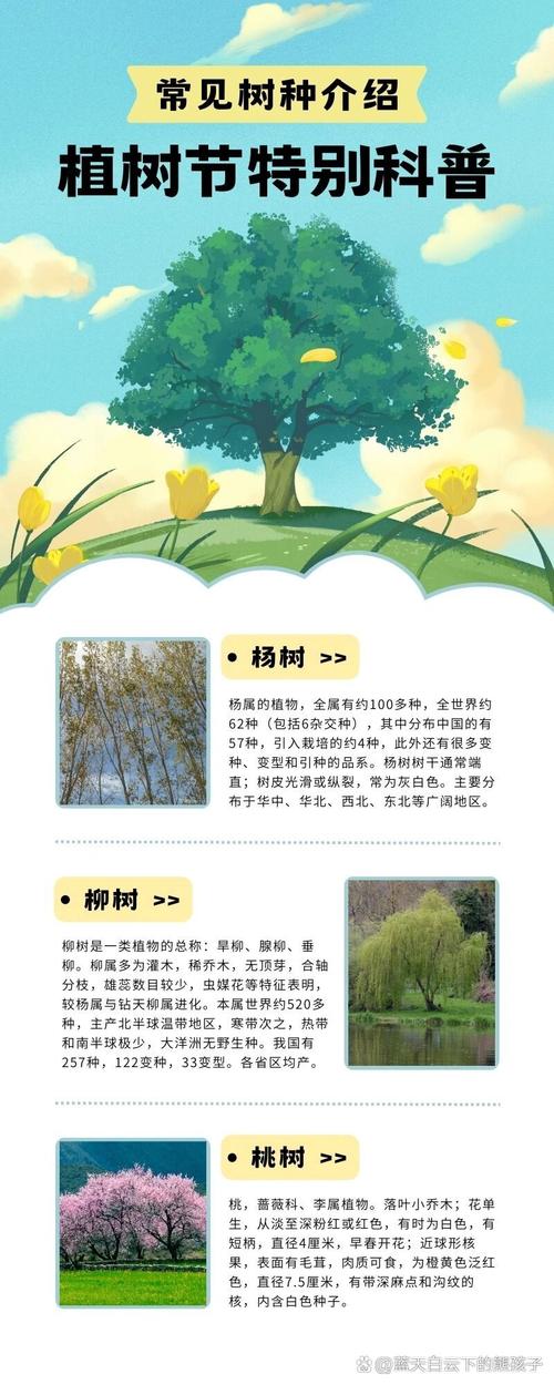 2025年11月17日这天适合种植树木吗？
