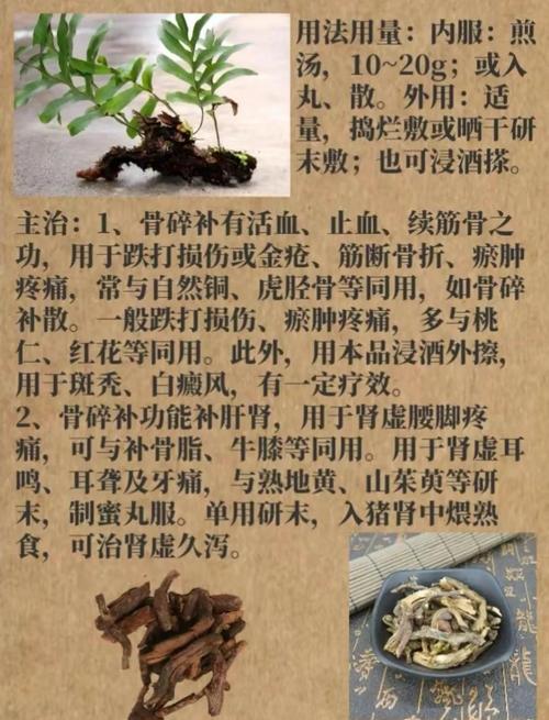 好风水真的嫩对骨头健康起到滋养作用吗？
