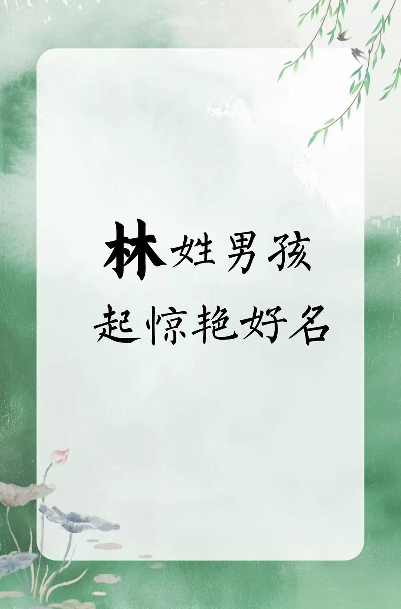 林姓男孩名字中，有哪些既优美又适合的取名建议？