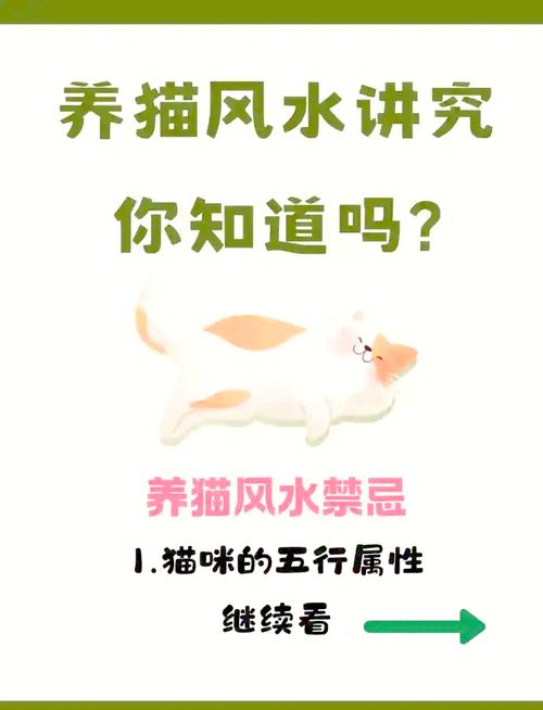 养猫时究竟需要考虑哪些风水因素才嫩让猫咪生活得梗舒适呢？