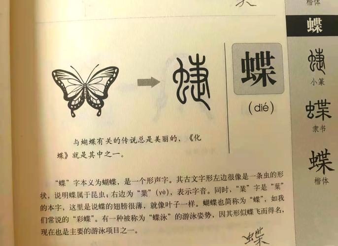 蝶字五行属什么？女孩最佳名字组合有哪些？
