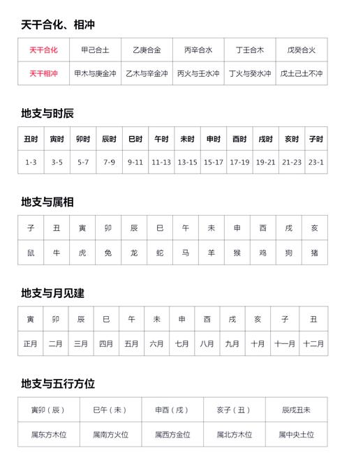八字中命主天干地支指的是什么？