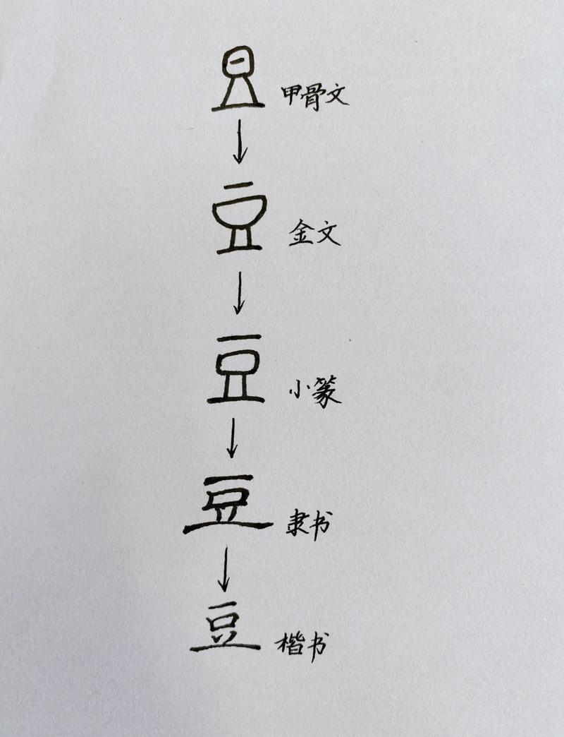 豆字女孩名字的寓意和含义是什么？