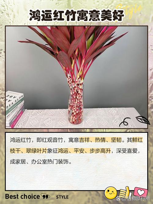 室内种竹子对风水有好处吗？