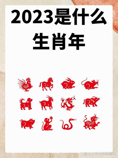 2023癸卯年是什么命？2022壬寅年又是什么命呢？