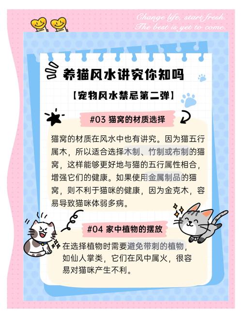 养猫需要考虑风水因素吗？这真的有依据吗？