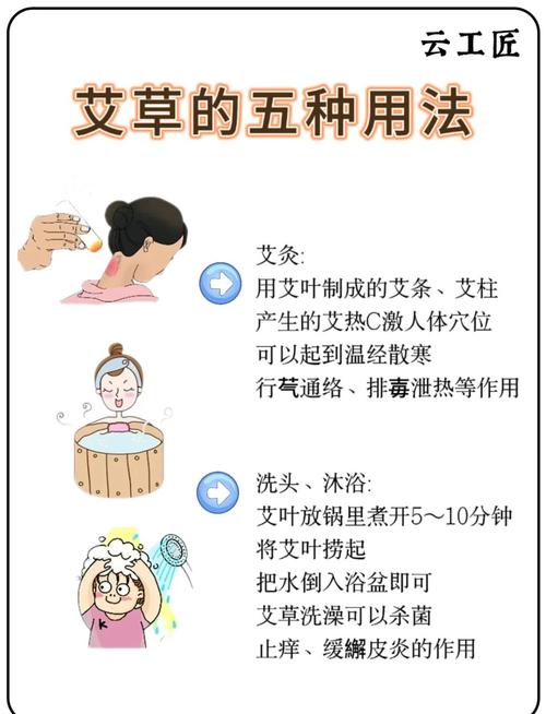 家里种艾草有什么风水讲究吗？