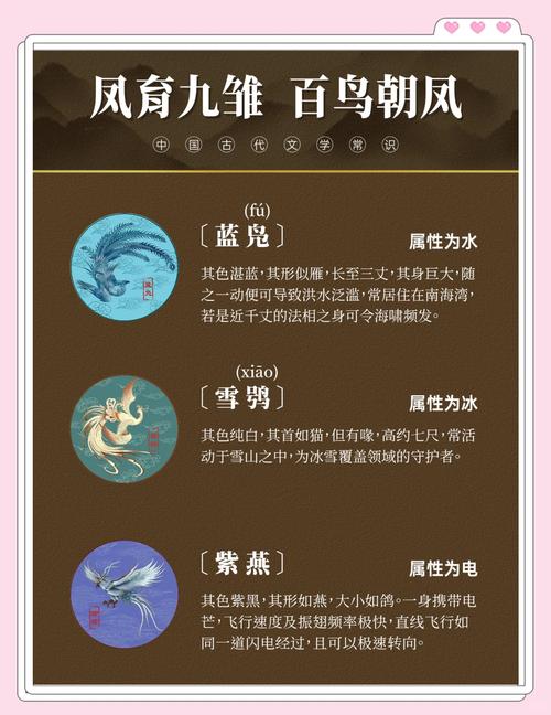 双生凤凰命格究竟是什么意思？