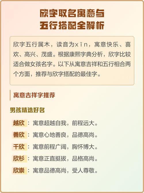 欣字在五行中属于哪一行？