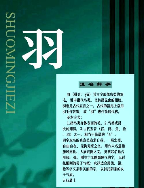 羽字五行属什么？女孩取名寓意有哪些？