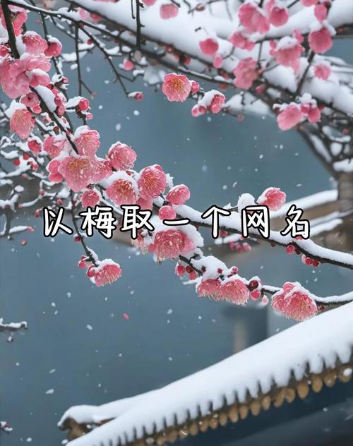 梅姓有涵养的女孩，取个什么名字既文雅又符合她的气质呢？