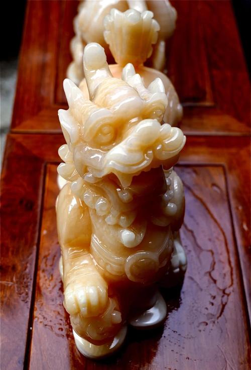 家里摆放标本的风水讲究有哪些？