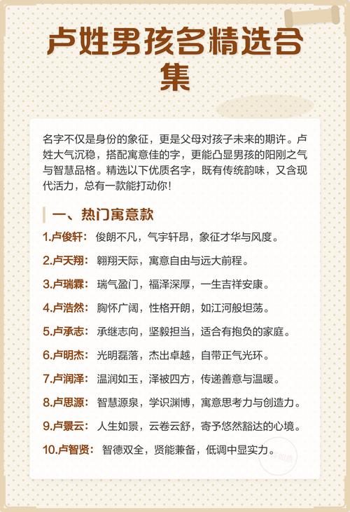 卢姓男孩起一个优美的名字，有没有什么好建议？