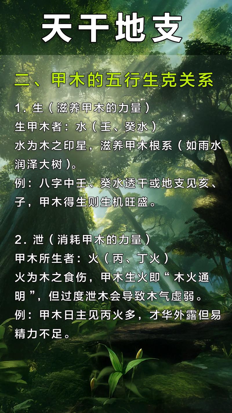 八字命理中甲木天干具有怎样的强大威力？