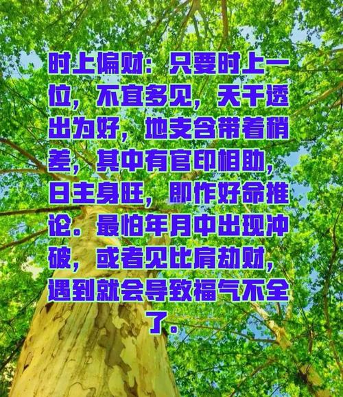 男人流年偏财是什么命格，有什么特点？