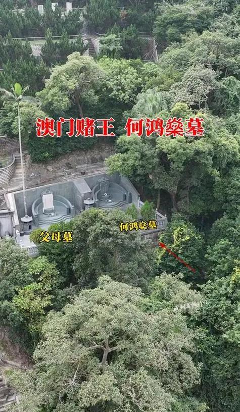 赌王兄弟八字命理特征有哪些独特之处？