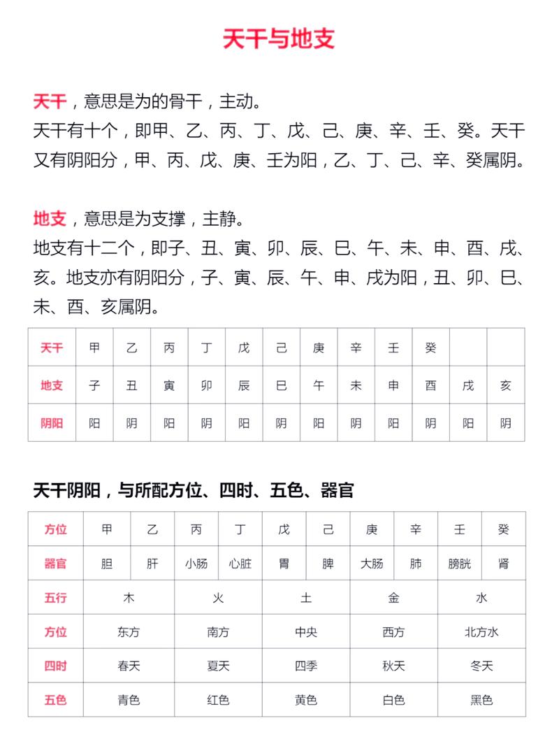 八字中命主天干地支指的是什么？