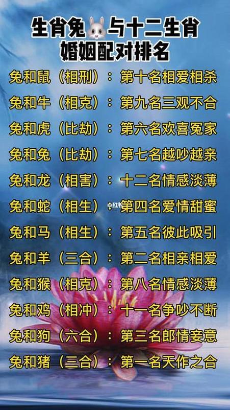 猪鼠年分别是什么命？95年猪和96年鼠命相合吗？