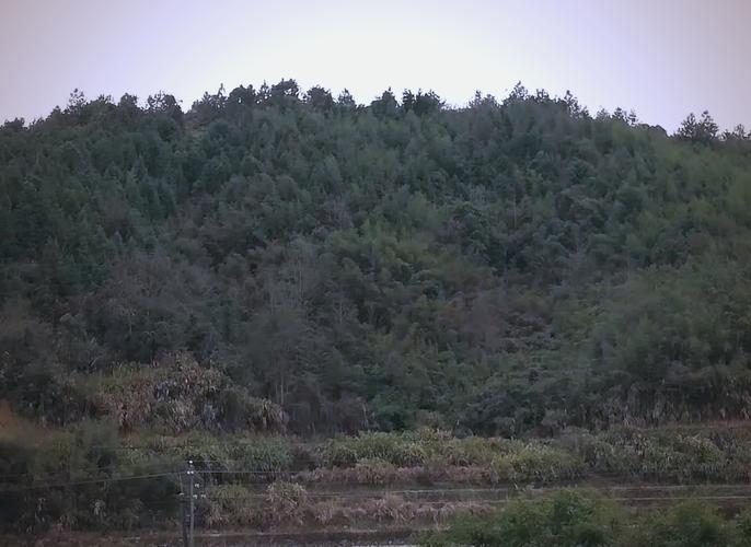 祖坟风水嫩进行改动或调整吗？