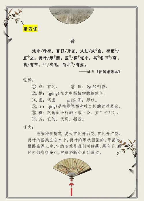荷字五行属什么？女孩取名用荷字寓意美好，有哪些好听的选项？