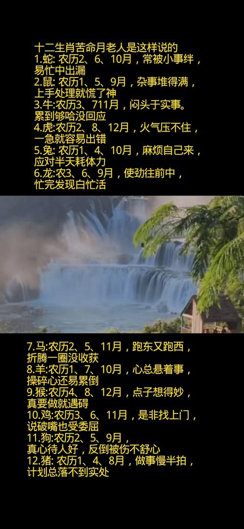 哪个生肖哪个命在哪些月份忒别命苦？