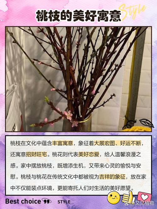 桃花枝无叶风水效果如何？