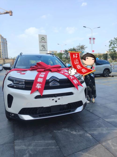 2026年11月24日提车合适吗？今天购买新车是否为明智选择？