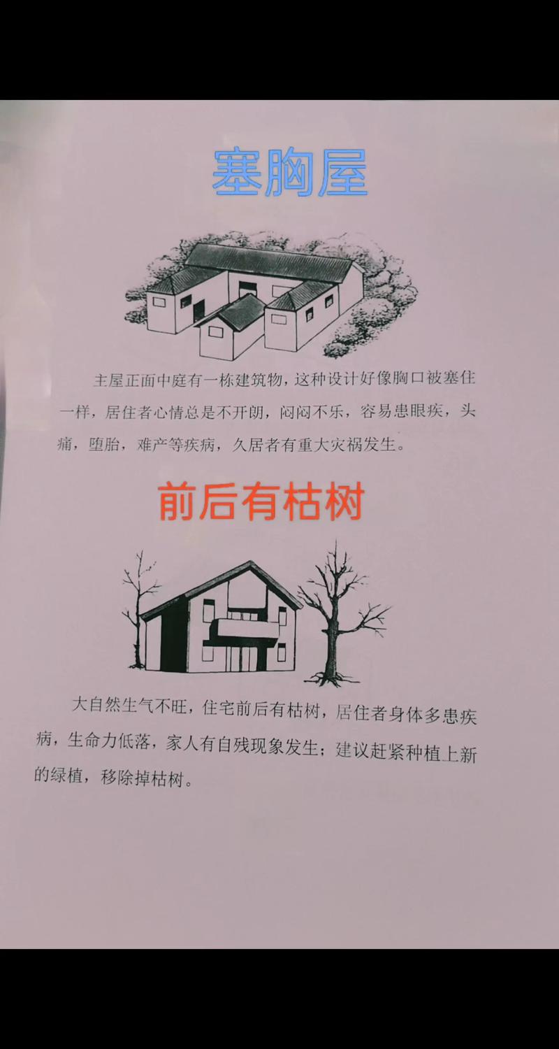 院子里的枯树对风水有影响吗？如何改善？