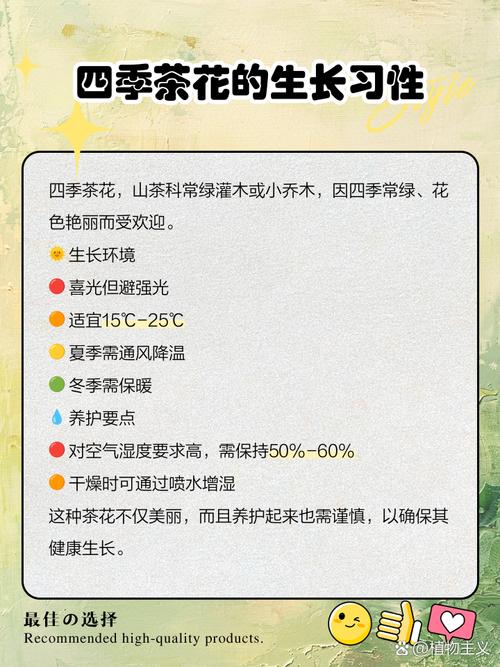 种茶花的风水讲究有哪些具体细节需要注意？
