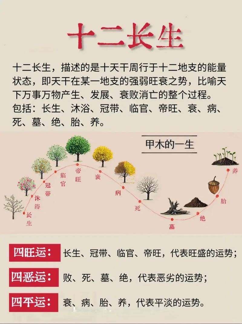 木命生于午时是哪种木？午时出生的八字如何为？