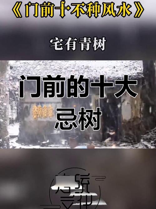门口种树对风水有影响吗？
