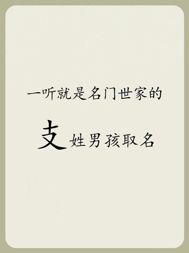 支姓男孩名字有哪些既独特又优美的选择？