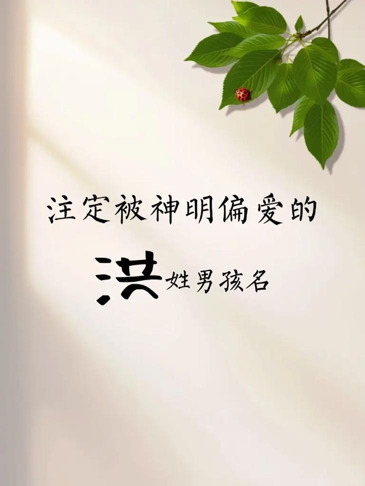 洪姓男孩起一个冷门独特名字，有没有什么好建议？