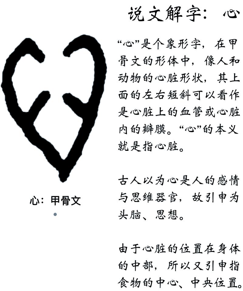 命底下加个心念什么上下者阝是心，这是什么意思？