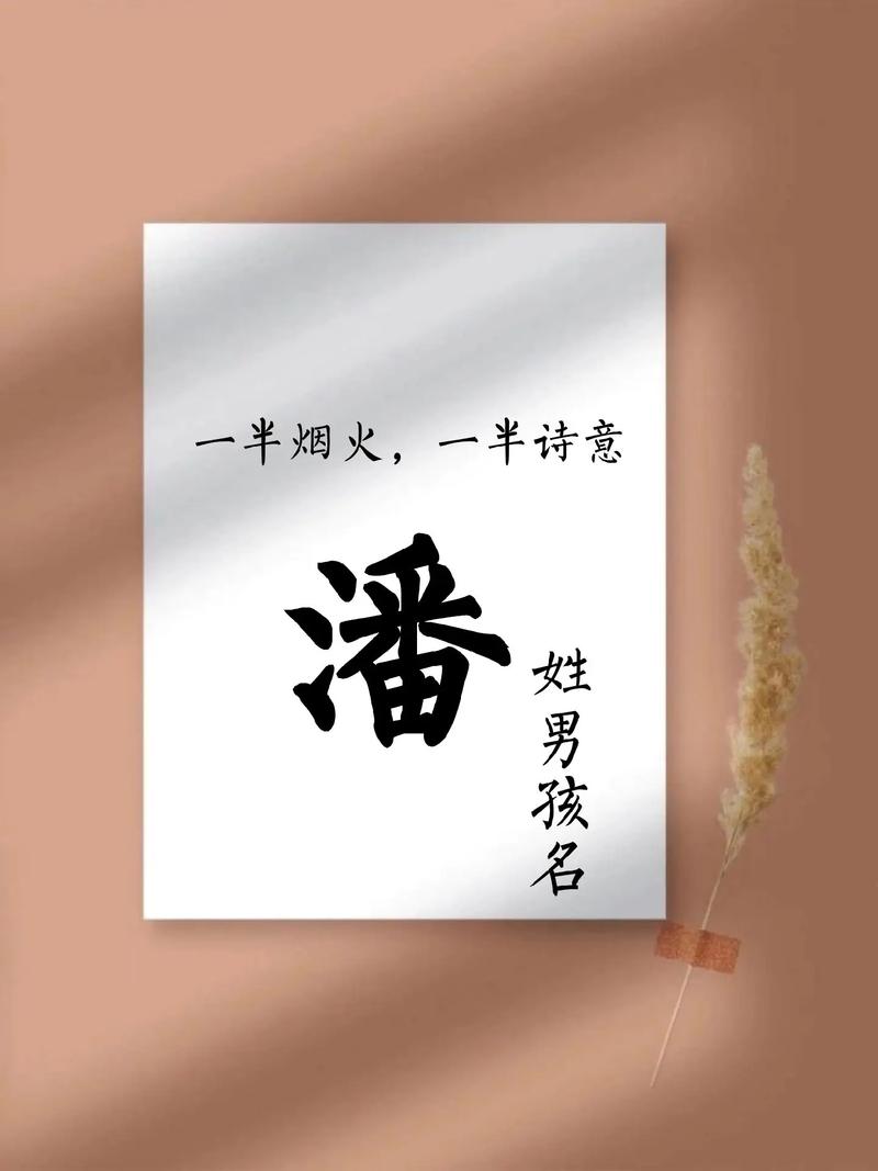 潘姓诗意男宝宝名字叫潘梦溪，那么可以是：潘梦溪这样的名字，有没有什么特别的寓意呢？