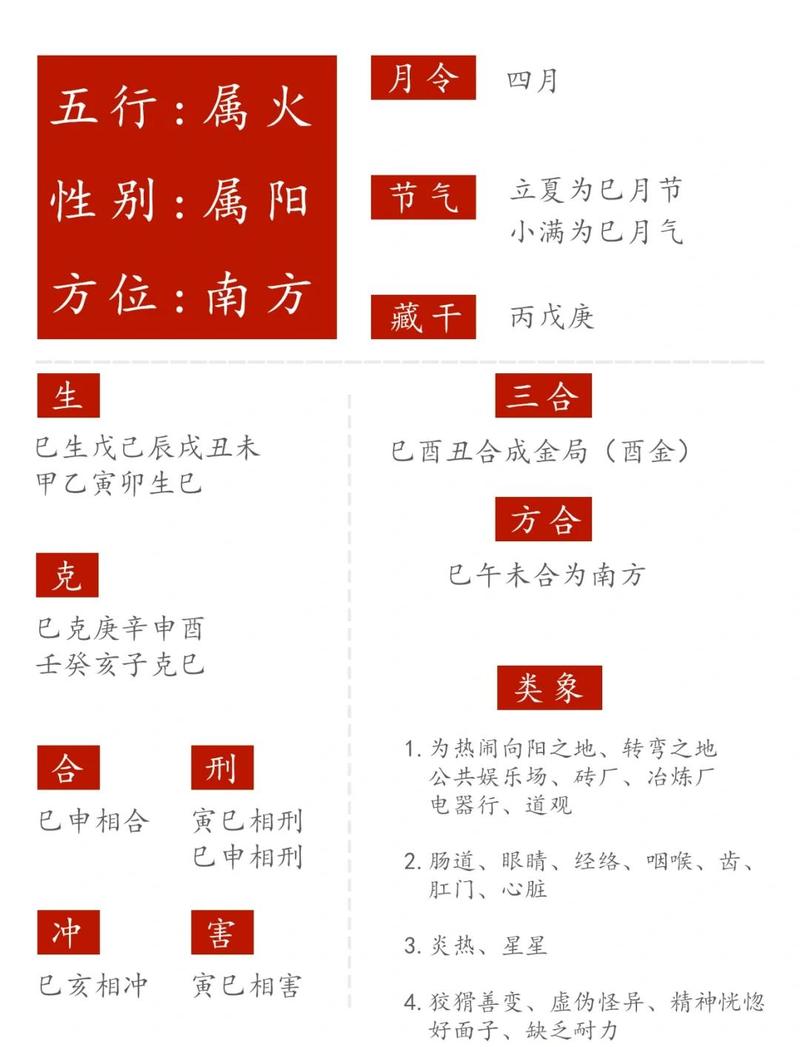 八字中卯木与巳火组合的命局具体代表什么命理特点？