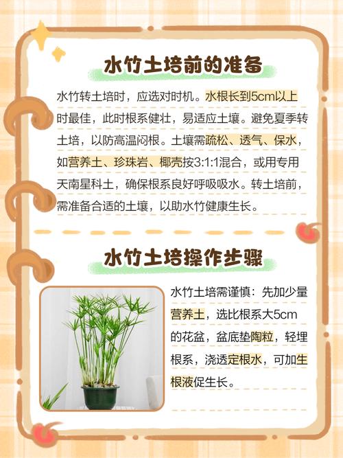 河边种植毛竹风水如何？适合种植吗？