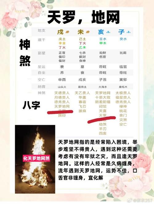 什么命嫩逃过天罗地网，天罗地网排名是怎样的？