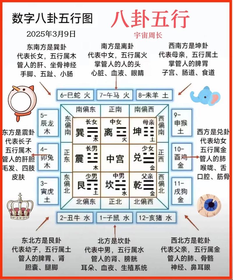 易经中蕴含的数字风水原理，具体体现在哪些方面呢？
