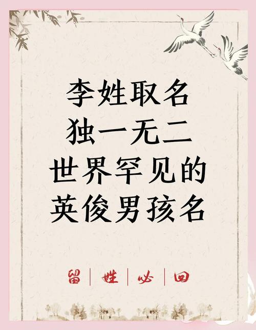李姓男孩起一个冷门独特名字，有没有什么好建议？
