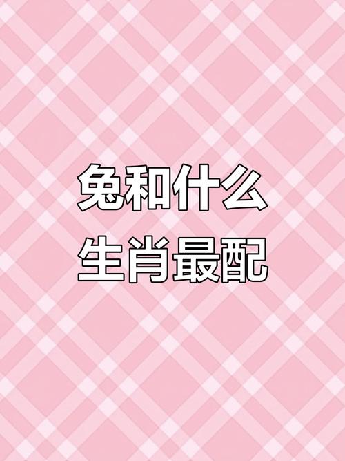 1987年属兔和1991年属羊的两个人是否适合相配？