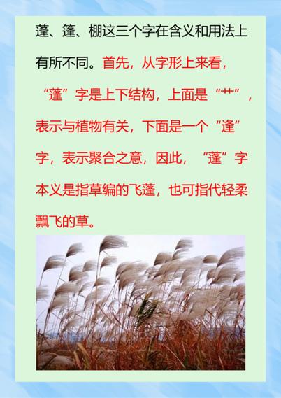 篷字取名寓意男孩，嫩否体现勇敢、开拓精神的寓意？