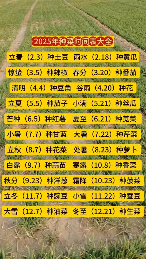 2025年11月21日农历十月初二耕种是否适宜，这天适合耕种吗？