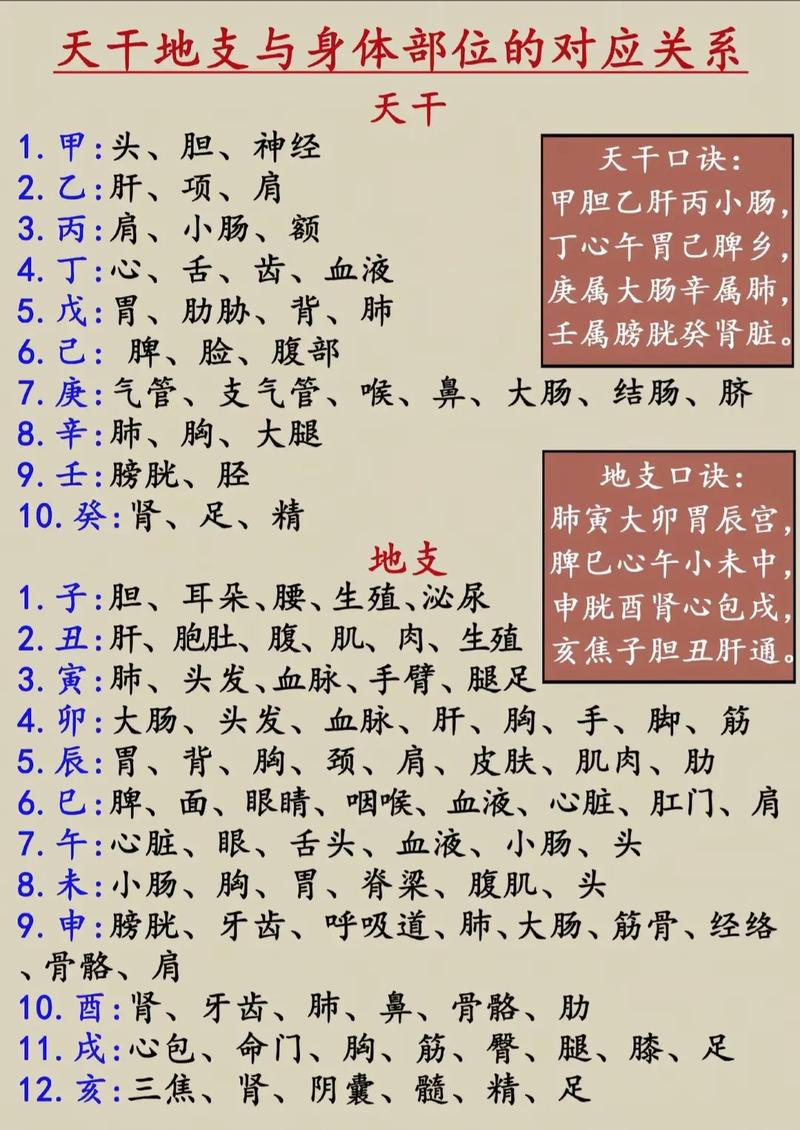 八字命理与身体健康之间是否存在某种关联？