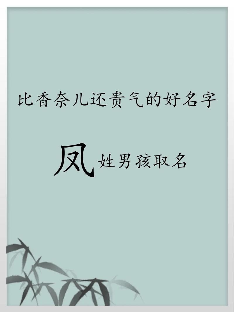 凤姓洋气男孩名字，有没有什么既时尚又好听的推荐呢？