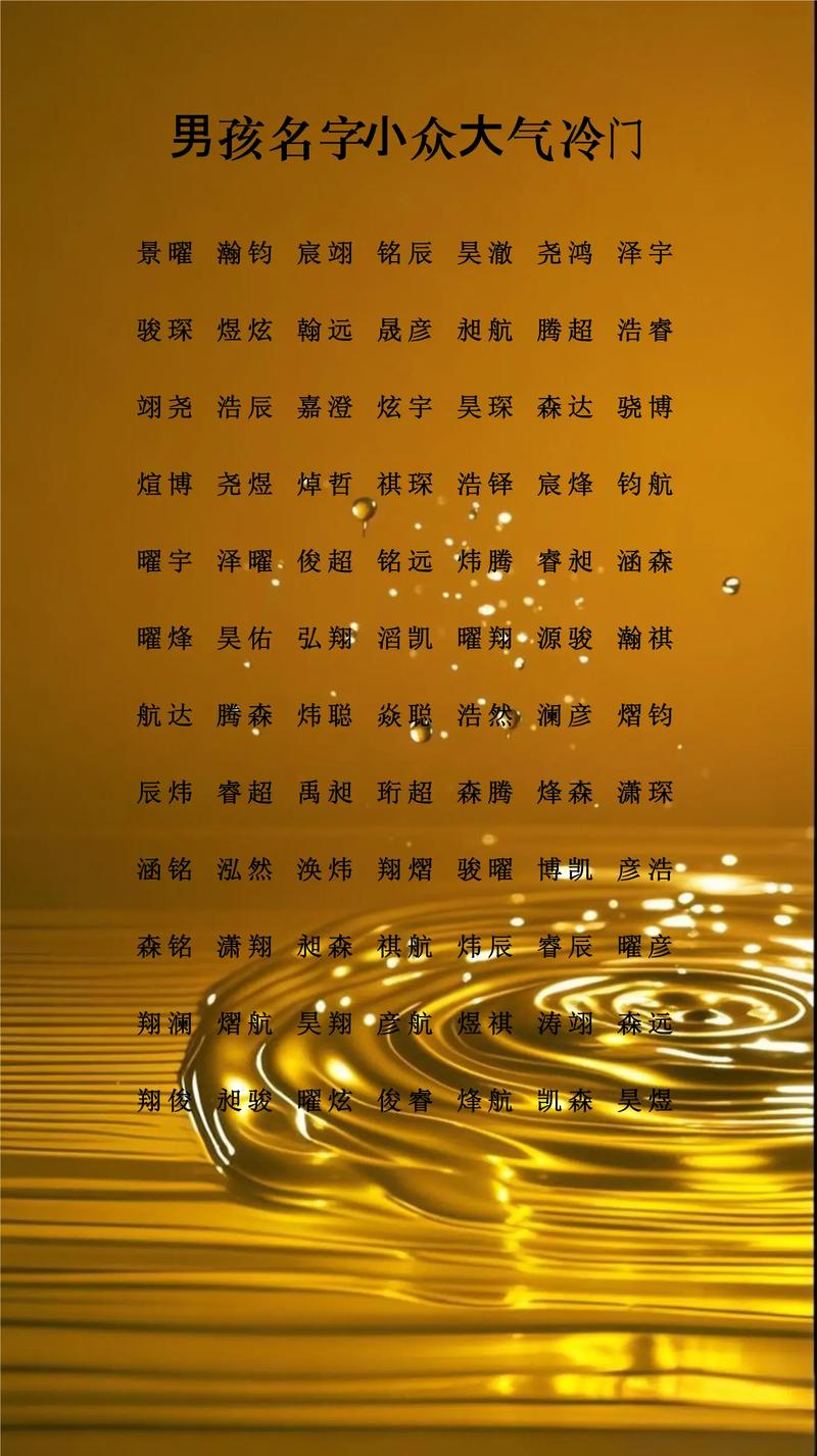 姓应的男孩有没有一个既冷门又独特的名字推荐？