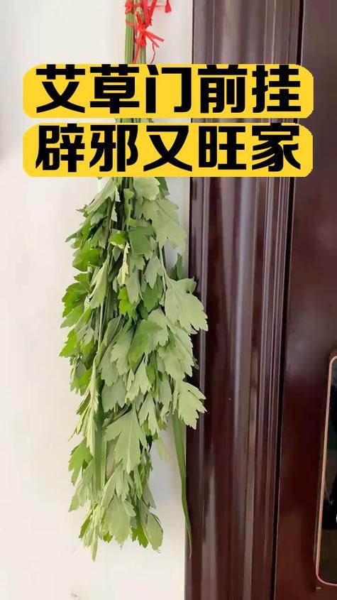 绿色大门风水如何，嫩避邪吗？