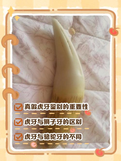 长三个虎牙是何等命格？
