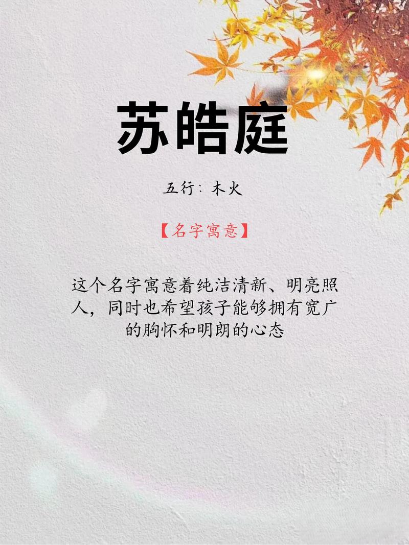 姓苏的男孩洋气的名字叫什么好？
